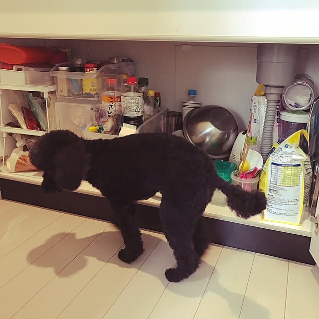 shijimiさんの実例写真
