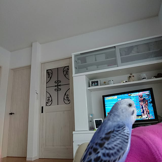 twinsさんの実例写真