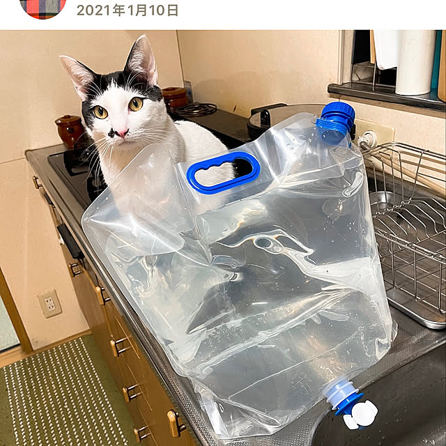 nobikoさんの部屋