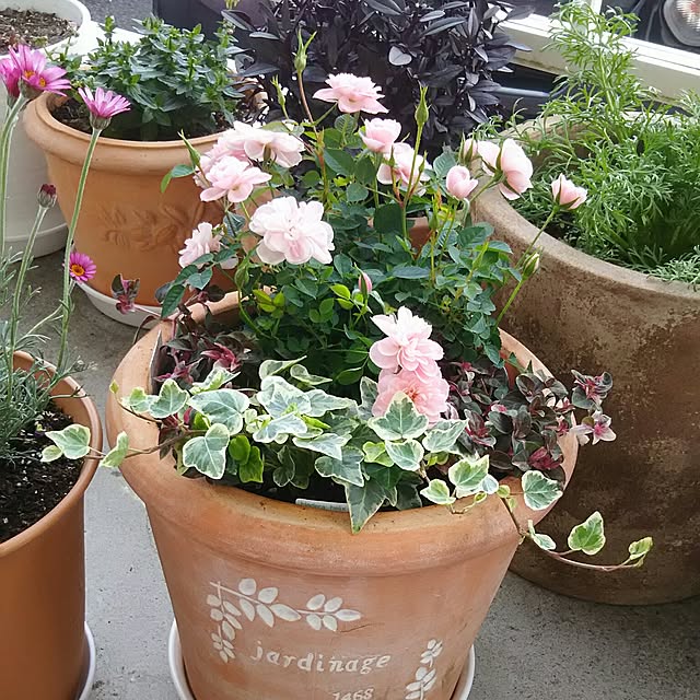 naopyiさんの実例写真