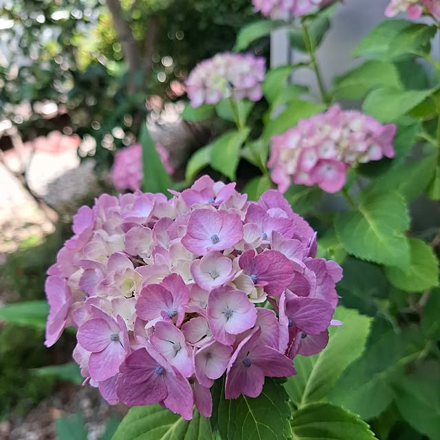 midoriさんの部屋