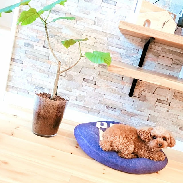 romeoさんの実例写真