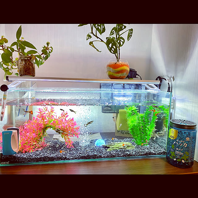 cocochiさんの部屋