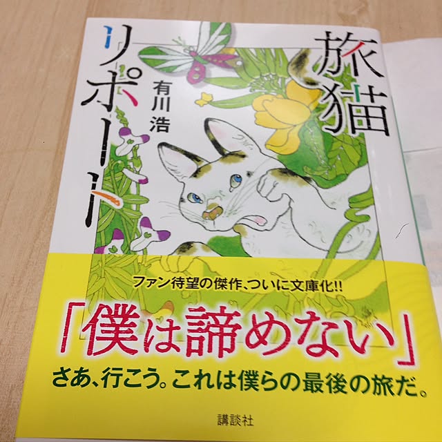 midoroさんの実例写真