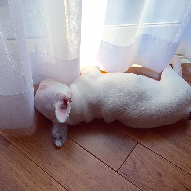 Mさんの実例写真