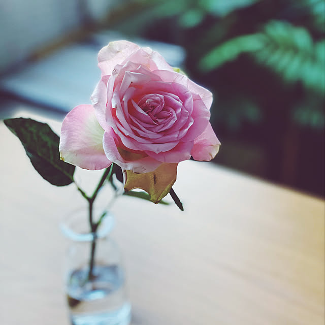zumi08xxさんの実例写真