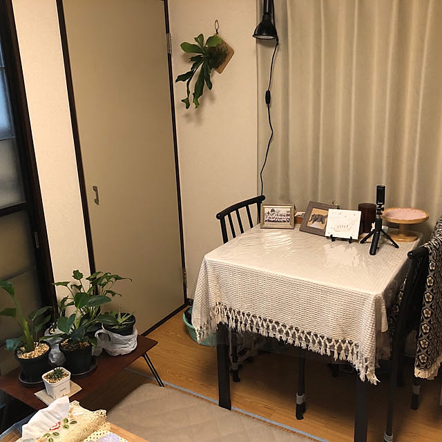 morimori_gohanさんの部屋