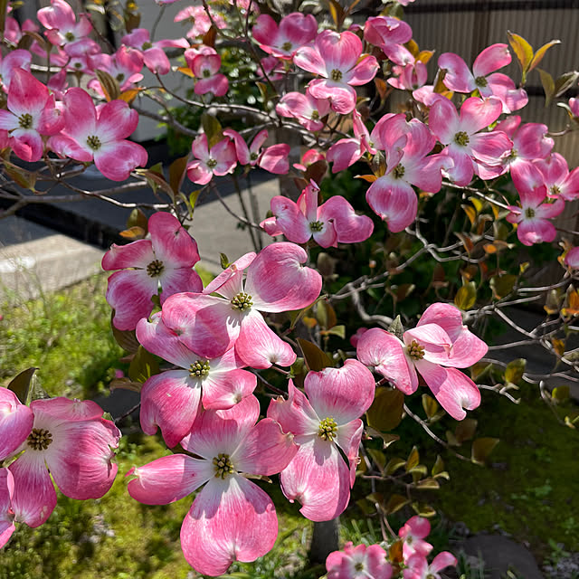 kakoさんの部屋