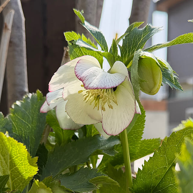 kurinokiさんの部屋