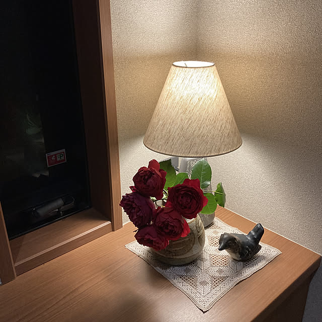 Virolさんの実例写真