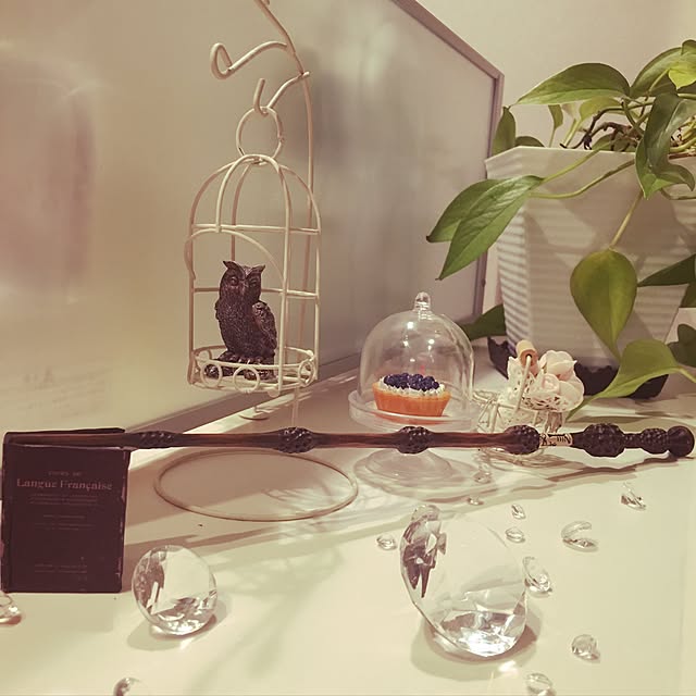 Mikaさんの実例写真