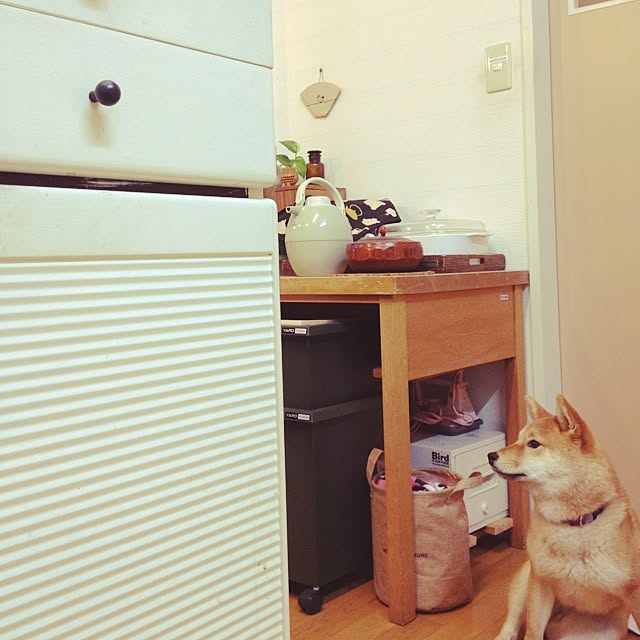 botanさんの実例写真