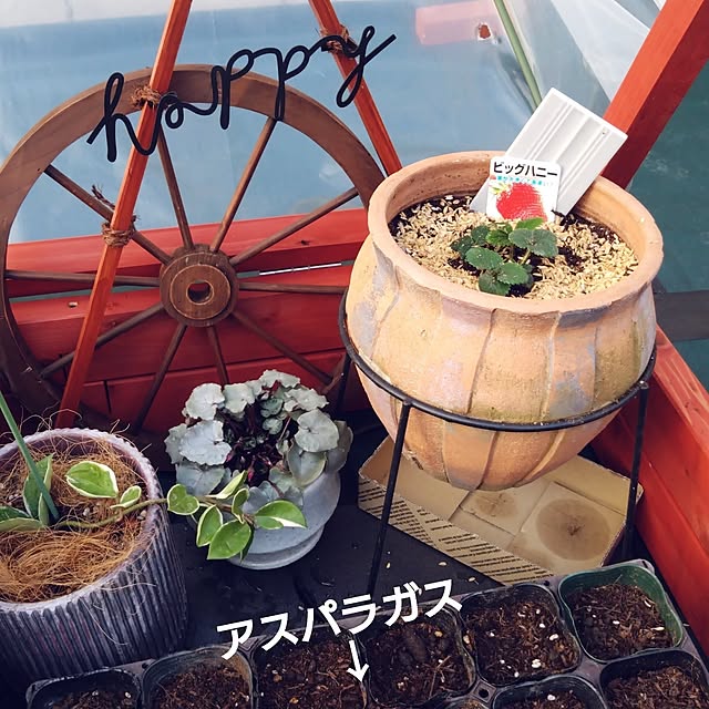 MIPORINNさんの実例写真