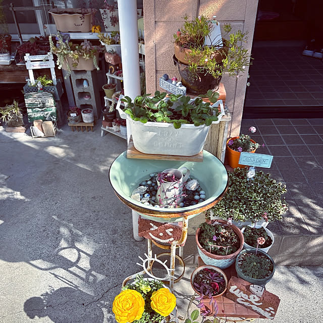 takakoさんの部屋