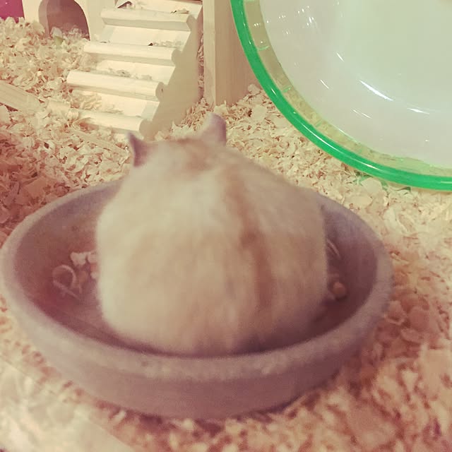 tsukiyuzuさんの実例写真