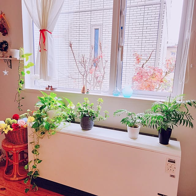 surviveさんの実例写真