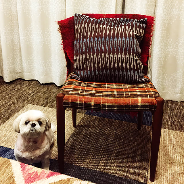 popoさんの実例写真