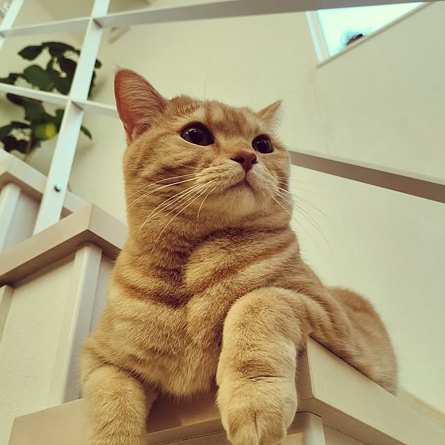 ayumiさんの部屋