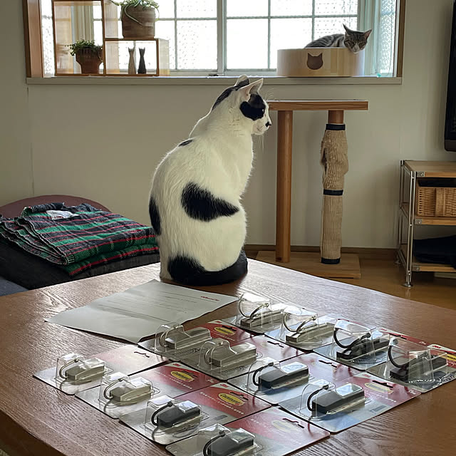 nobikoさんの部屋
