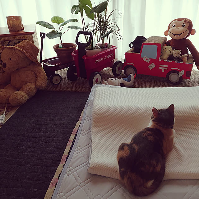 fukuさんの実例写真