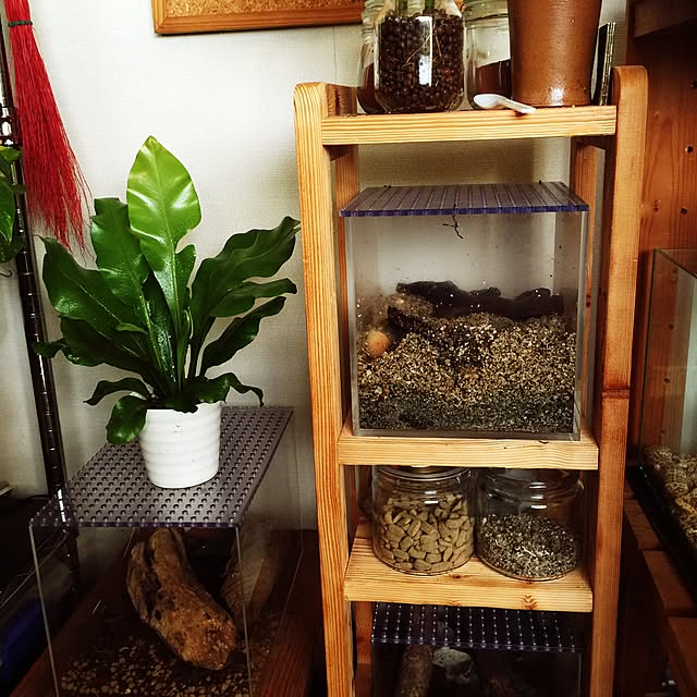 drgn1さんの実例写真