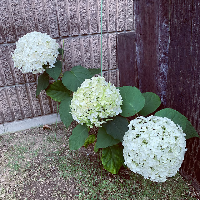 yumi.fさんの部屋