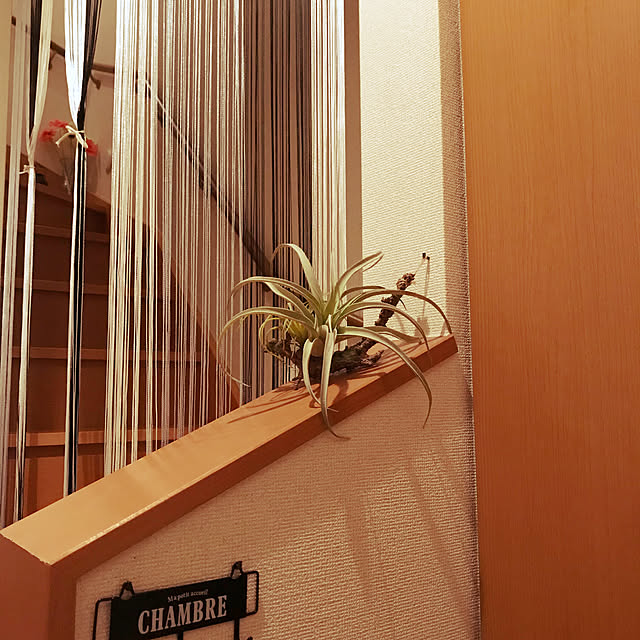 aymさんの実例写真