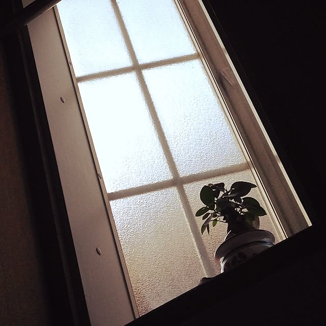 nikoriさんの実例写真
