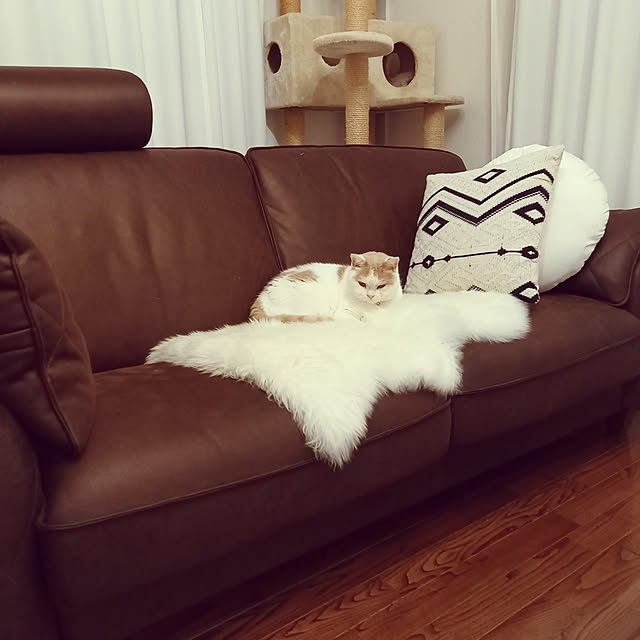 amutantanさんの実例写真