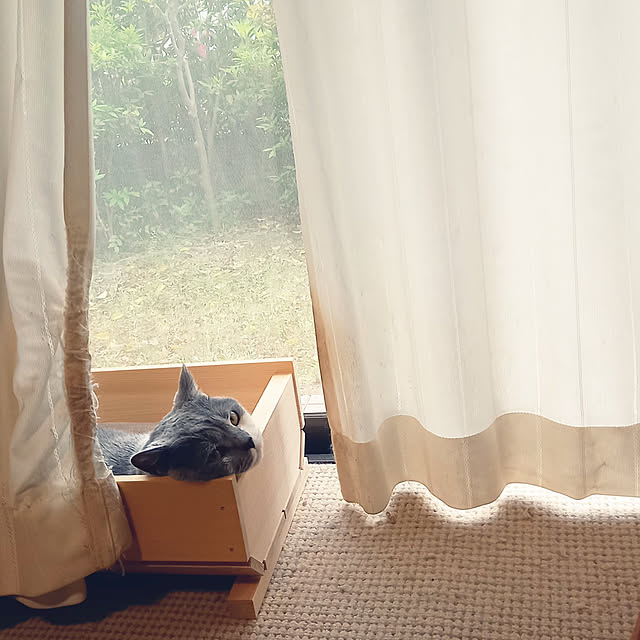 rhuさんの実例写真