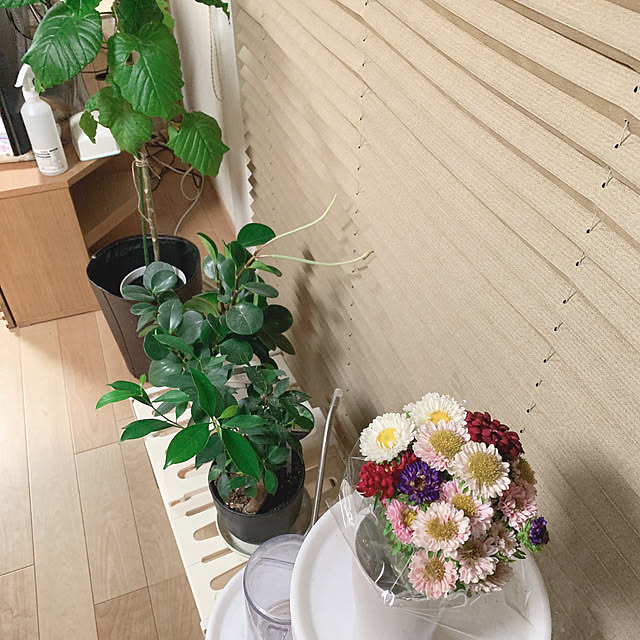 sofa235さんの実例写真