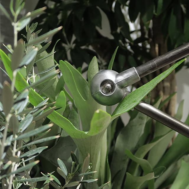 piyohopさんの実例写真