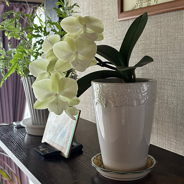 Smilkazuさんの部屋