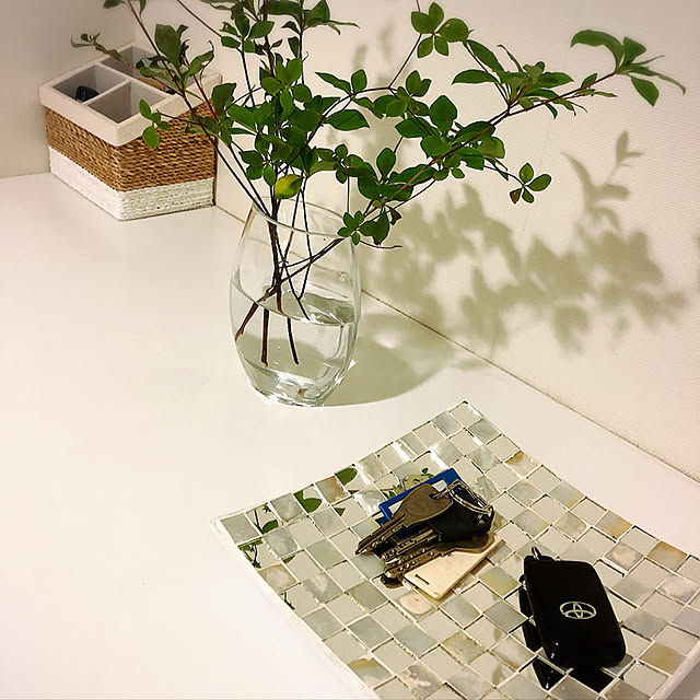 Misaさんの実例写真