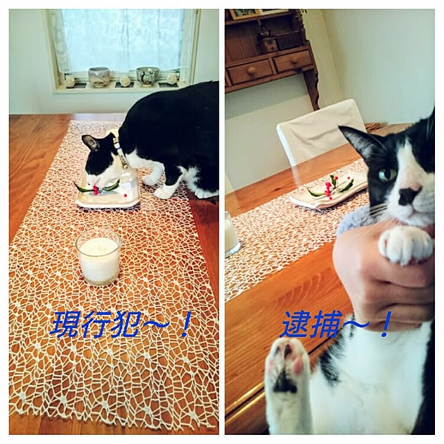 hiyo.pietさんの実例写真