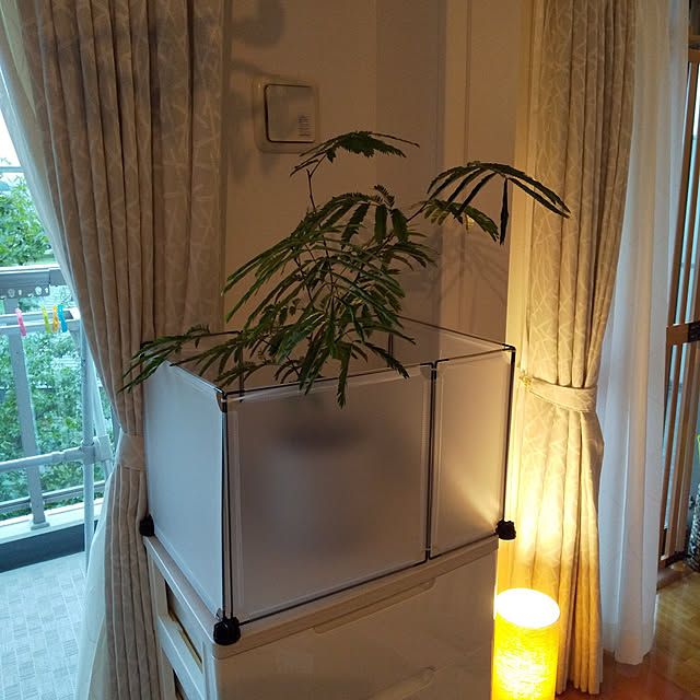 haruissaさんの実例写真