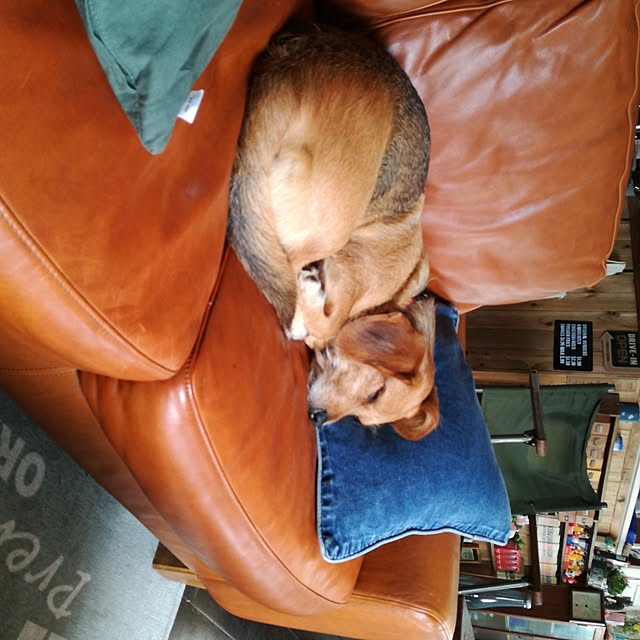 moguramamaさんの実例写真