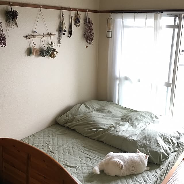 jijilocopikiさんの実例写真