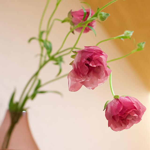 y.tora5さんの部屋