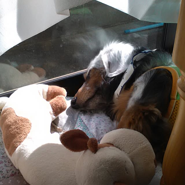 ngbc3388さんの実例写真