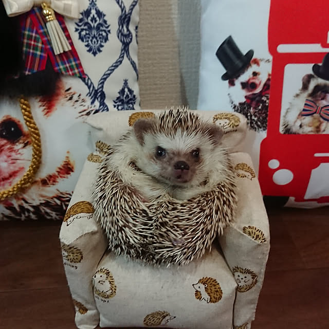mieさんの実例写真