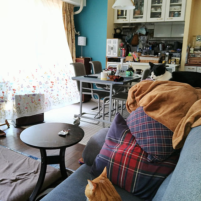 okyosan101さんの実例写真