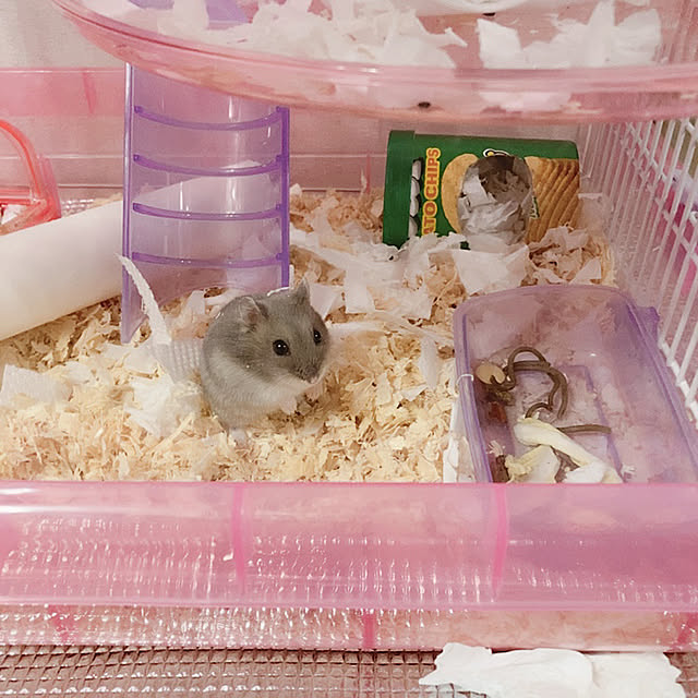milkさんの実例写真