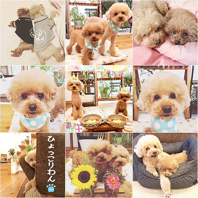 noririnさんの実例写真