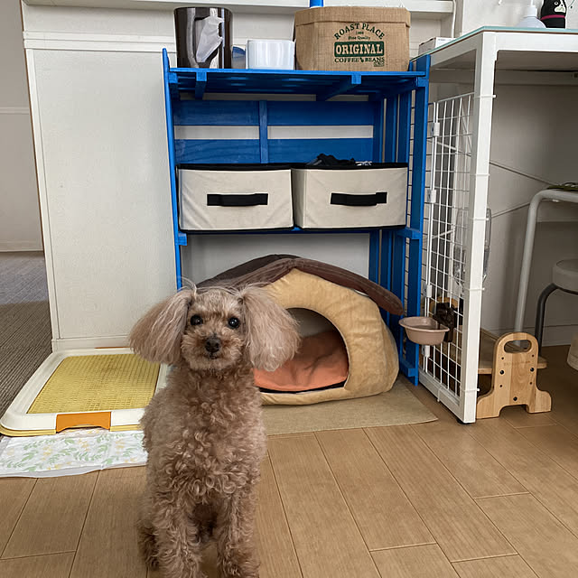 taさんの実例写真
