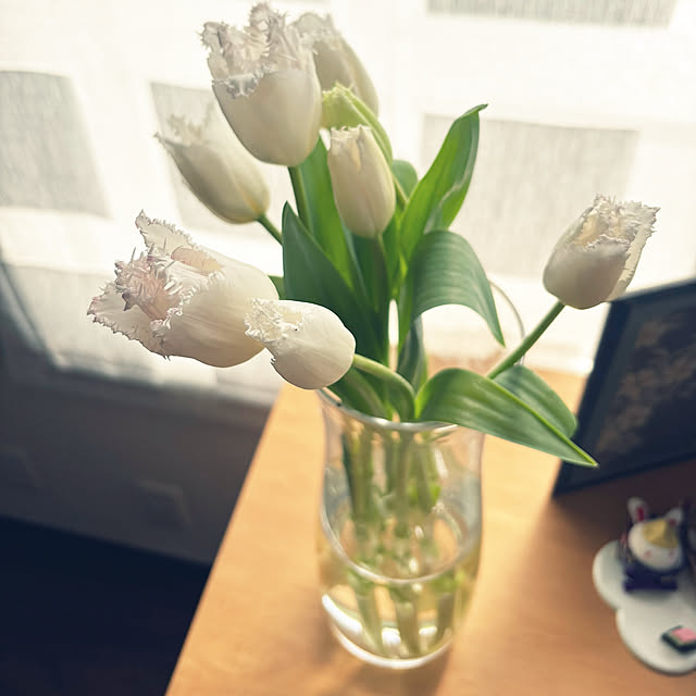 kukiharaさんの部屋