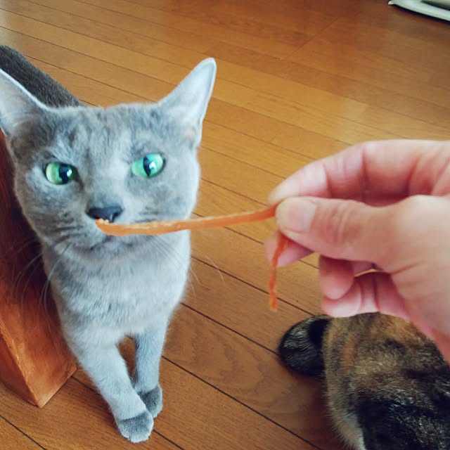 tomo1220さんの実例写真