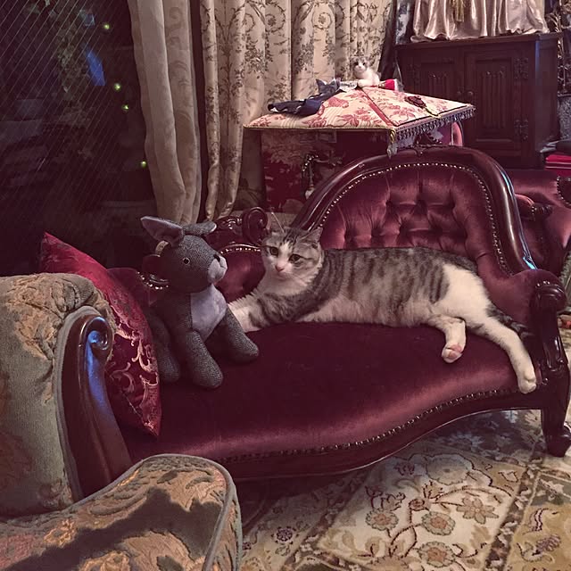 emmyyさんの実例写真