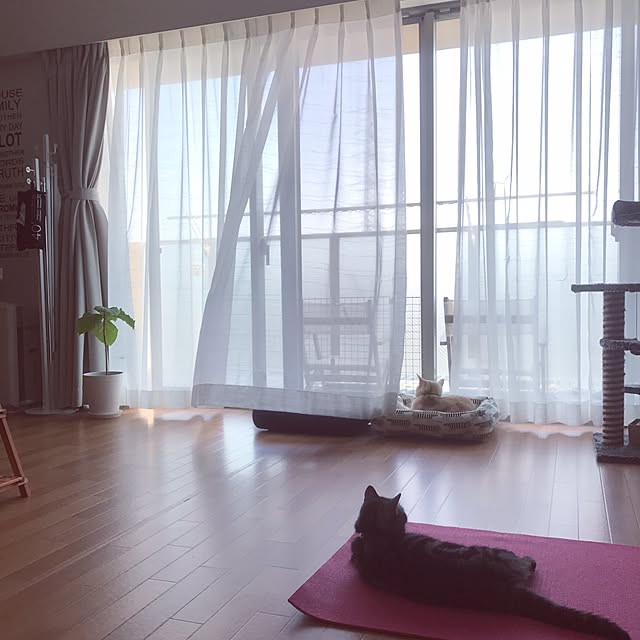 hiyupan88さんの実例写真