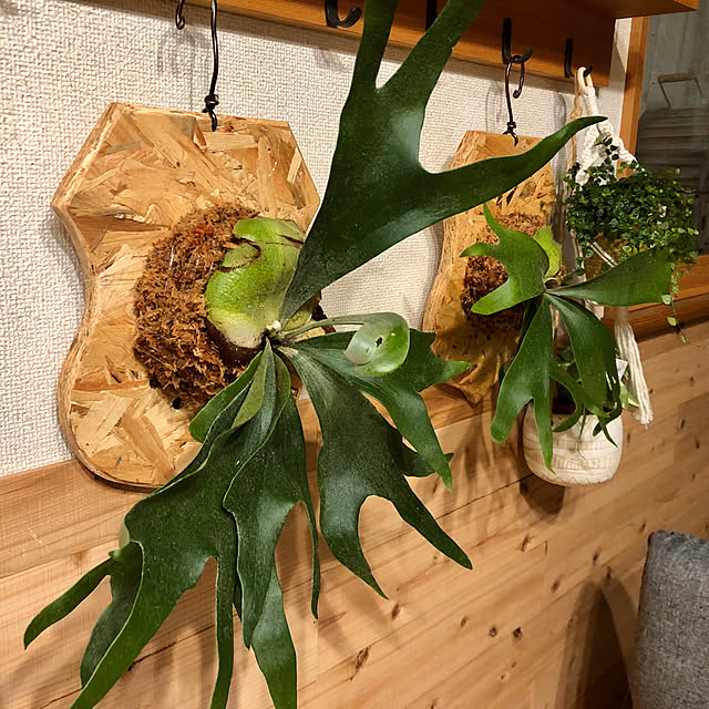 CoffeeHouseさんの部屋